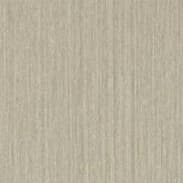 Oyster-Colour