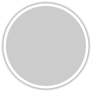 platinum-metallic platinum-metallic